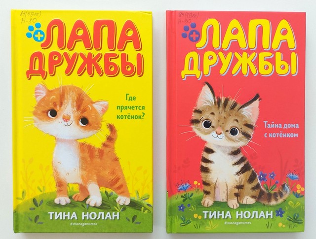 foto 2025 02 19 14 54 003